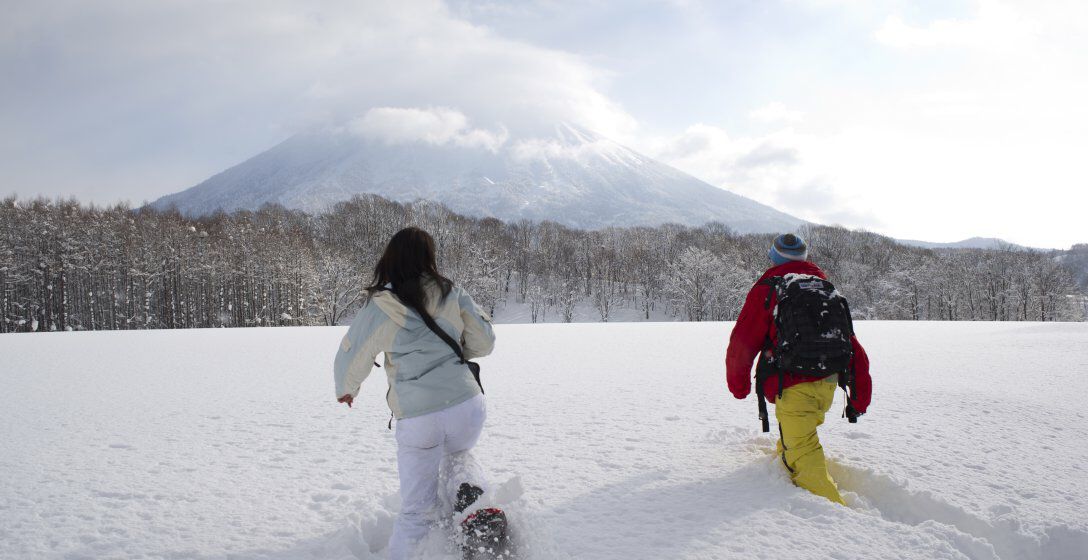 Snowshoe tours in Niseko